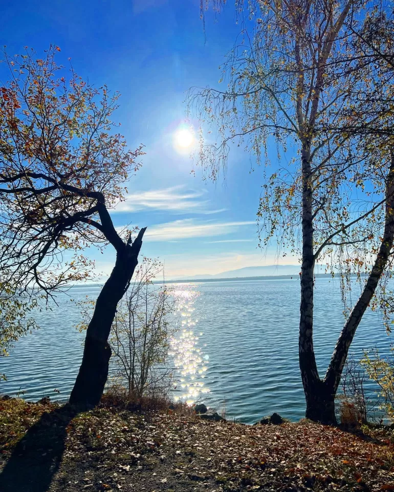 terazwpszczynie,gminapszczyna,pszczyna,sołectwołąka,jeziorogoczalkowickie,powiatpszczynski,jesie