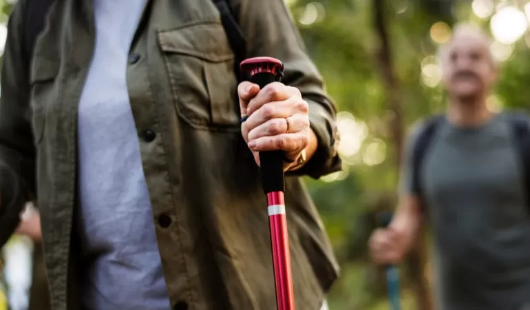 nordic walking