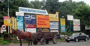 p_kontrasty, foto-dnia