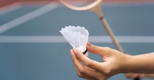 badminton, rakieta, lotka