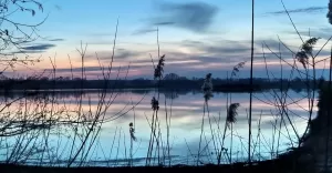 Staw Zabrzeszczok w Goczałkowicach-Zdroju - 10.03.2020