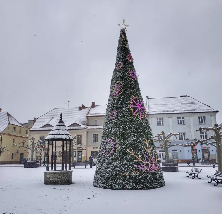 Zima zawitała do pszczyńskiego parku - 10.12.2020