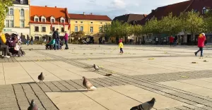 pszczyna,pless,jesień,listopad,rynek,starówka,gołębie,silesia,lovesilesia,fotodnia,instagram