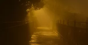 smog