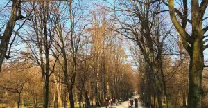 pszczyna,14grudnia,parkzamkowy,park,alejka,śląsk,silesia,lovesilesia,fotodnia,instagram