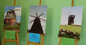 Wiatraki w Polsce i Europie