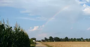 Kawałek tęczy