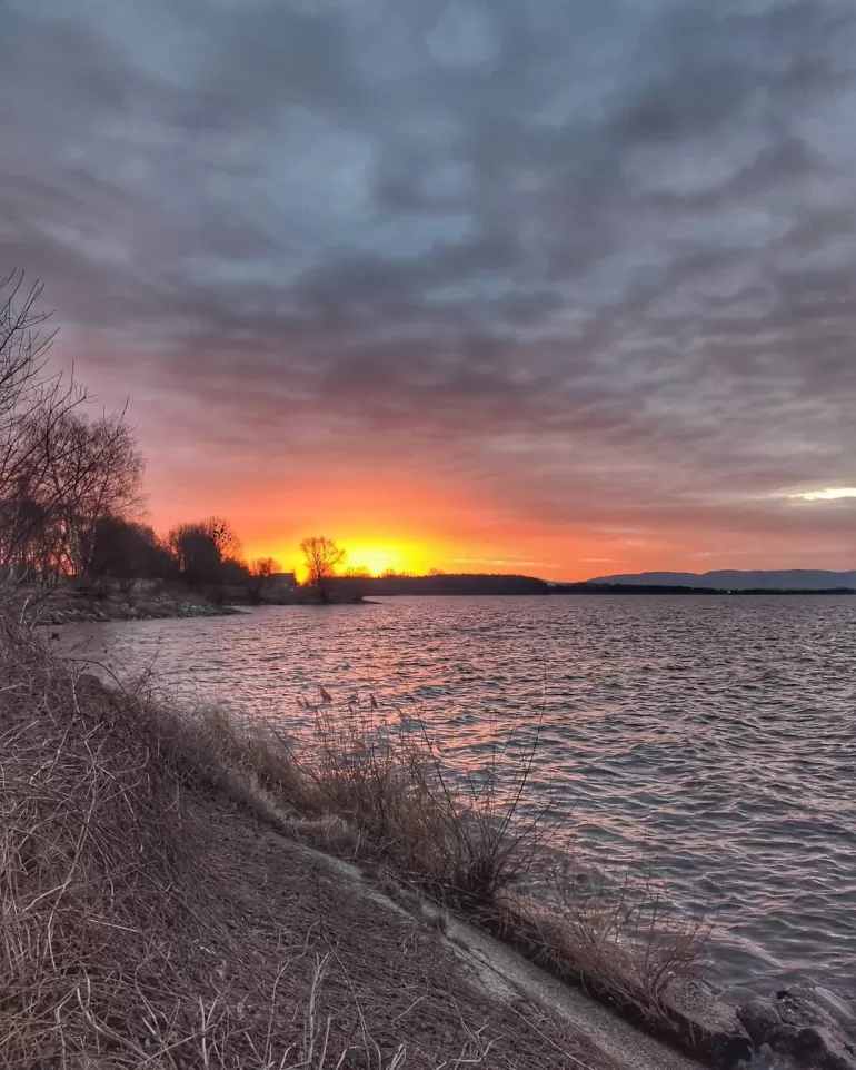 pszczyna,łąka,jeziorogoczalkowickie,wschodslonca,terazwpszczynie,lovepless,silesia,fotodnia,insta