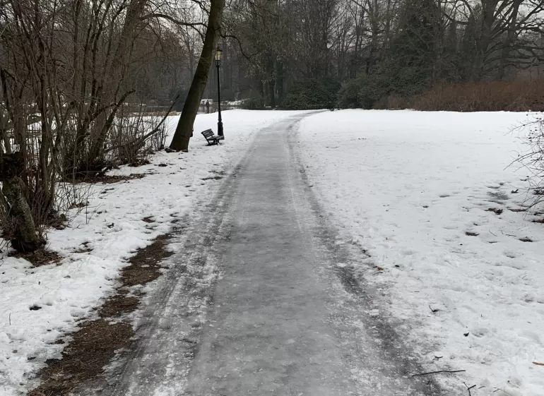 Do parku na łyżwy