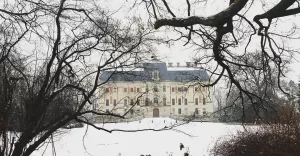 pszczyna,pless,parkzamkowy,muzeumzamkowe,zima❄️,grudzień,zamek,castle,winter,śląsk,silesia,l