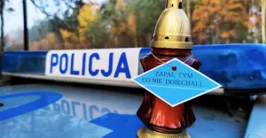 Policyjna akcja "Znicz" - 29-30.10.2021