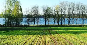środa,spacer,jezioro,akwen,łąka,pless,turystyka,pszczyna,fotodnia,instagram