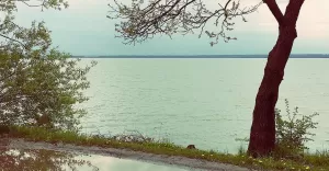 poniedziałek,pochmurnie,spacer,jezioro,goczałkowice,goczałkowicezdrój,łąka,fotodnia,instagram