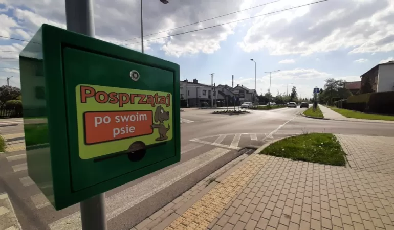 psie odchody