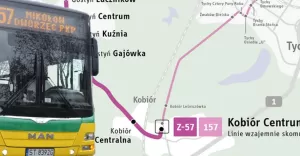 Zmiana organizacji ruchu i obsługi przystanków na trasie DW 928 między Wyrami a Kobiórem