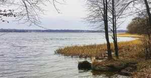 pszczyna,sołectwołąka,zbiornikłąka,styczeń,zima,jezioro,śląsk,silesia,lovesilesia,fotodnia,