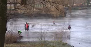 hokej w parku