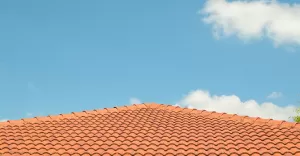 Jak dbać o dach?