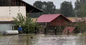 Zalane posesje przy ul. Wideki w Brzeźcach, godz. 10.00 - 16.09.2024
