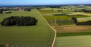 Stenclówka