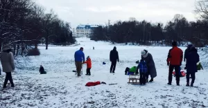 eiskeller, zima, sani, park