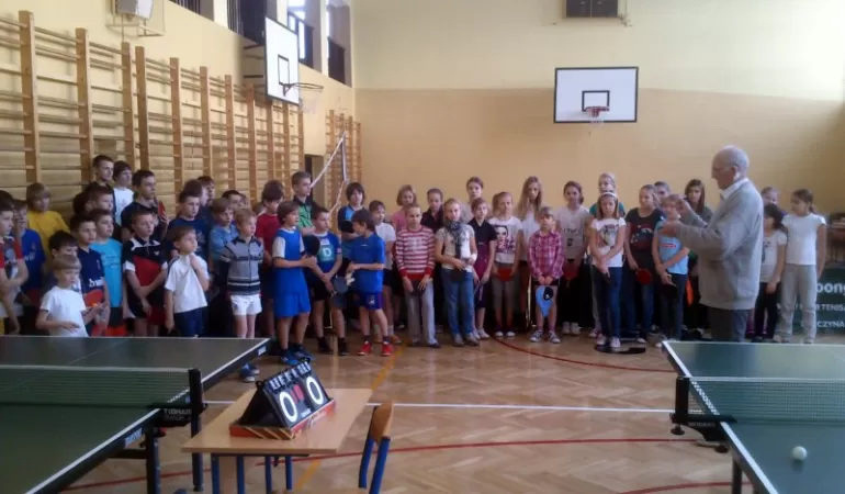 ping pong, tenis stołowy