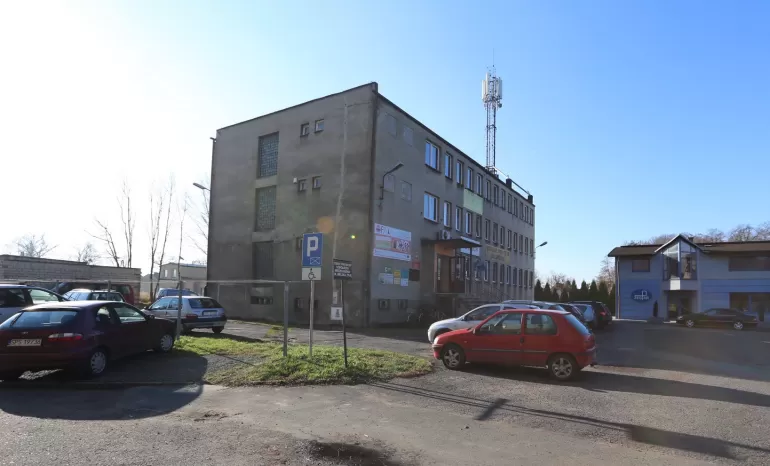 sznelowiec 2