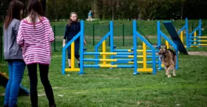 psi park w Pszczynie, Siedlice