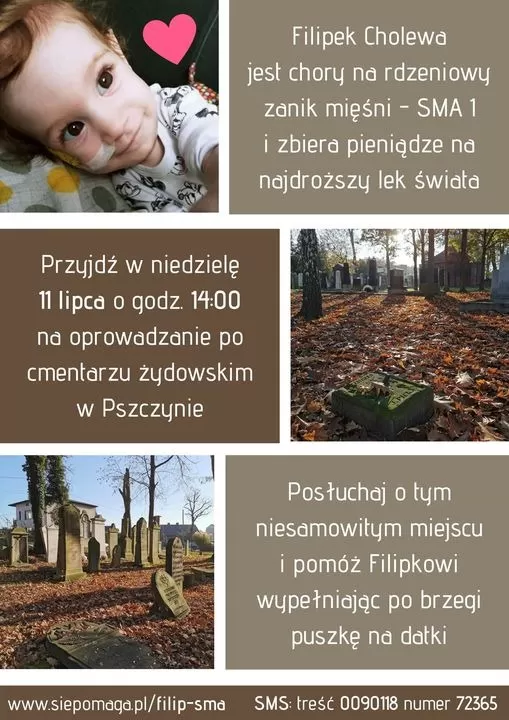 zwiedzanie cmentarza, filipek