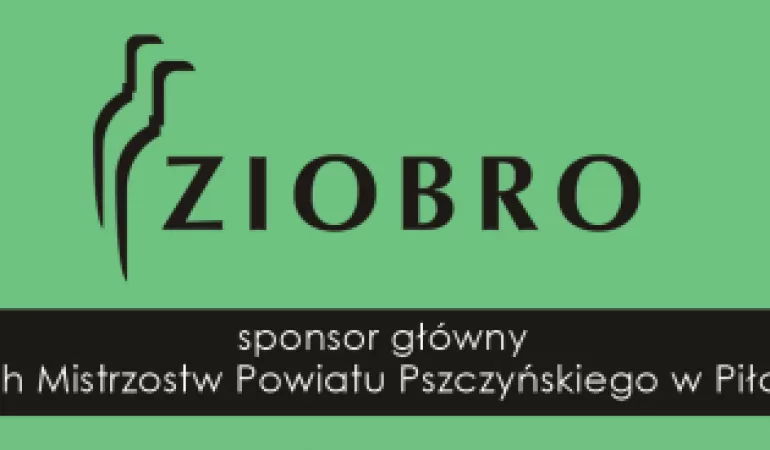 Sponsor główny