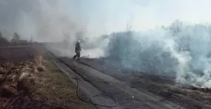 Pożar traw przy ul. Pszczyńskiej w Woli