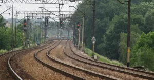 tory, pociąg, pszczyna