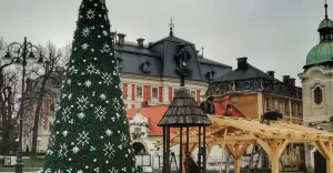 pszczyna,jarmark,święta,bozenarodzenie,szopka,stajenka,choinka,rynek,silesia,lovesilesia,fotodnia