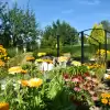 [FOTO] Wybrano najpiękniejsze ogródki działkowe w Pszczynie