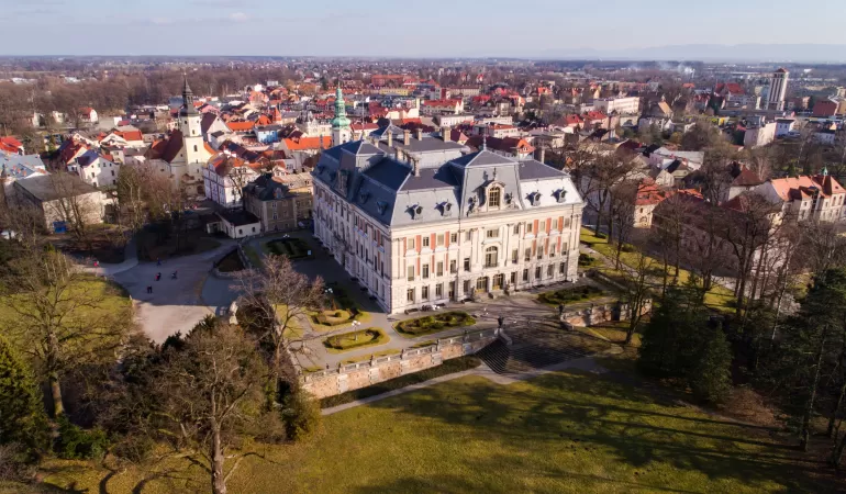Zamczysko w Pszczynie