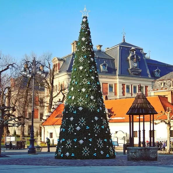 choinka, rynek