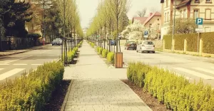 pszczyna,pless,aleja,kościuszki,spacer,śląsk,silesia,kamienica,lerchówka,berberys,fotodnia,inst