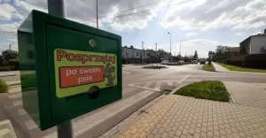 psie odchody