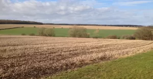 Wnioski o dopłaty bezpośrednie dla rolników na półmetku