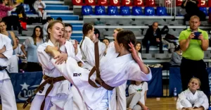 Puchar Śląska w Karate Tradycyjnym