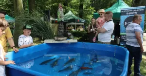Śląskie Święto Karpia w Pawłowicach - 22.06.2025