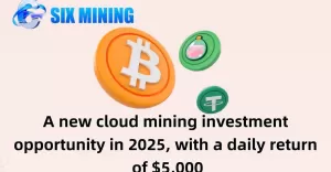 SIX MINING