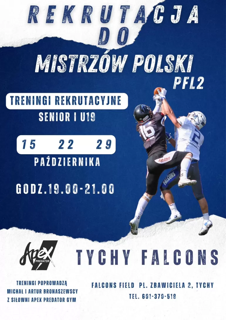 falcons