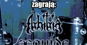 Arhitria i 3Equide w Stodole