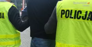 policja, aresztowanie, kajdanki