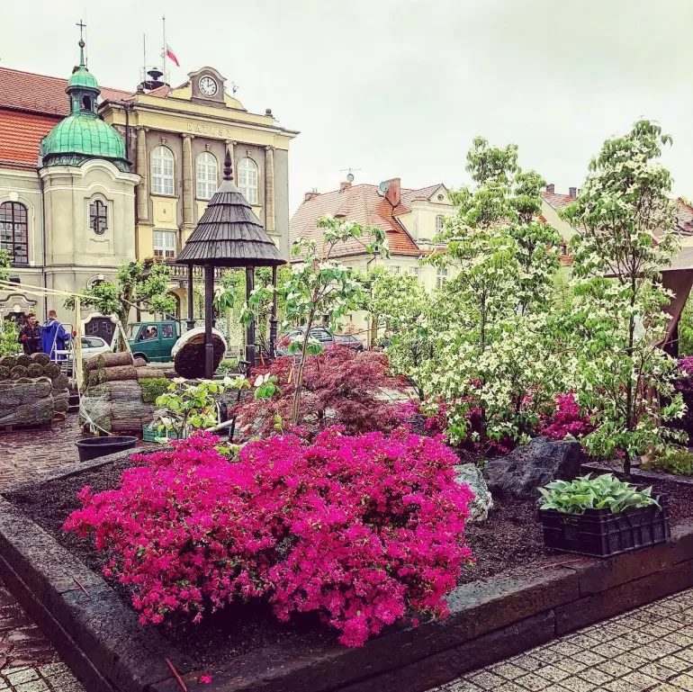 terazwpszczynie,pszczyna,pless,daisydays,rynek,ogrodydaisy,śląsk,silesia,fotodnia,instagram