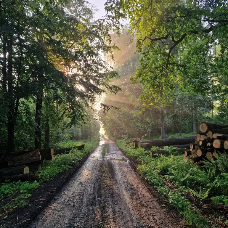 pszczyna,Łąka,pocztówkazpszczyny,wiosna,maj,poranek,wschódsłońca,lovesilesia,lovepless,fotodn