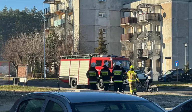 Wola ul. Dębowa - działania służb - 29.12.2024}