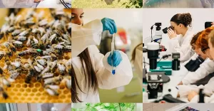 Warsztaty naukowe w Instytutu Przemysłu Organicznego w Pszczynie - 06.2025