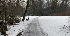 Do parku na łyżwy